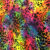 51 leopard coloré